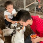 Granja Interactiva - Image 3