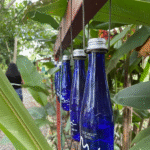 Sendero Melodía de la Naturaleza - Image 3