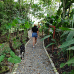 Sendero Melodía de la Naturaleza - Image 2