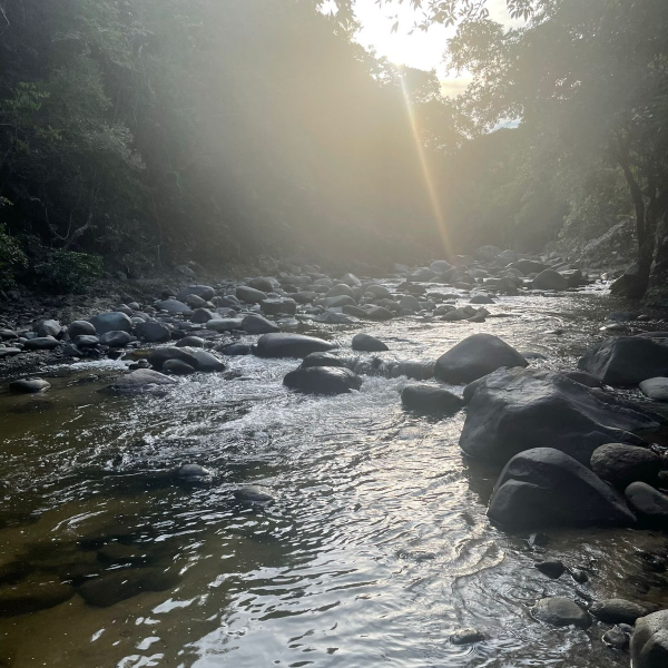 producto_7240_ Sendero al Río – Caminata ecológica - Image 1