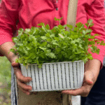 Restaurante Del Huerto a tu Mesa - Image 3